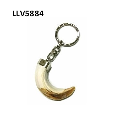 Llavero amoladera de jabalí, Asta de Ciervo, gamo y corzo, International Antler Trading SL