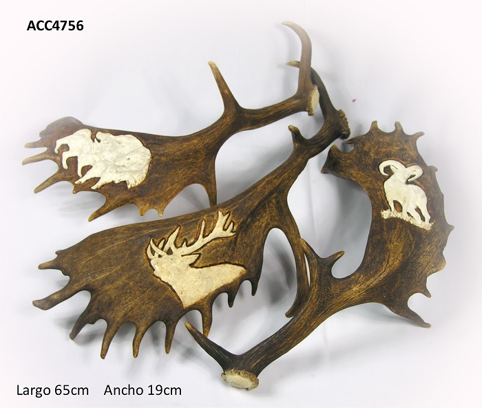 ACC4756 Palas de gamo talladas | Asta de Ciervo
