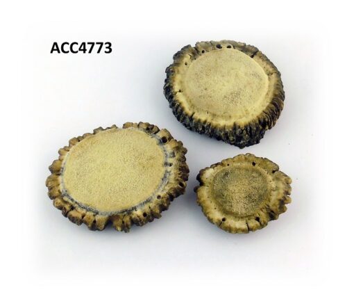 Roseta en natural, Asta de Ciervo, gamo y corzo, International Antler Trading SL