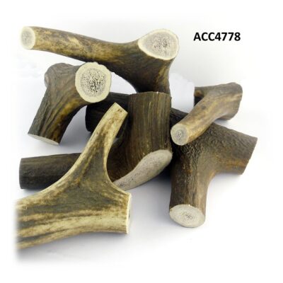 Juguetes para perros, Asta de Ciervo, gamo y corzo, International Antler Trading SL