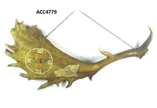 Reloj pala de gamo, Asta de Ciervo, gamo y corzo, International Antler Trading SL