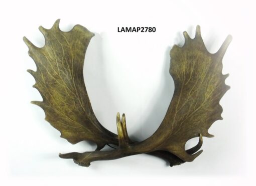 Aplique de gamo doble, Asta de Ciervo, gamo y corzo, International Antler Trading SL